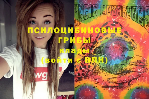 дмт Балахна