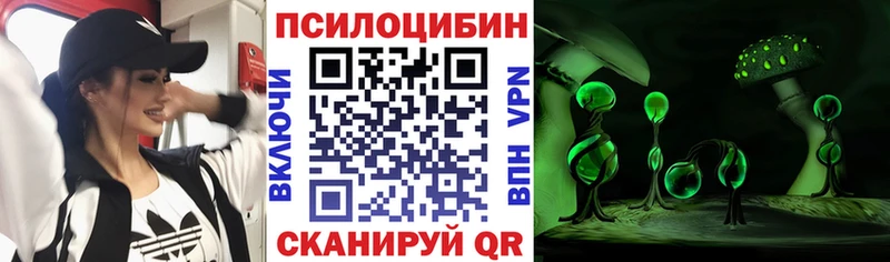 сайты даркнета Telegram  Новый Уренгой  Псилоцибиновые грибы ЛСД  цены  